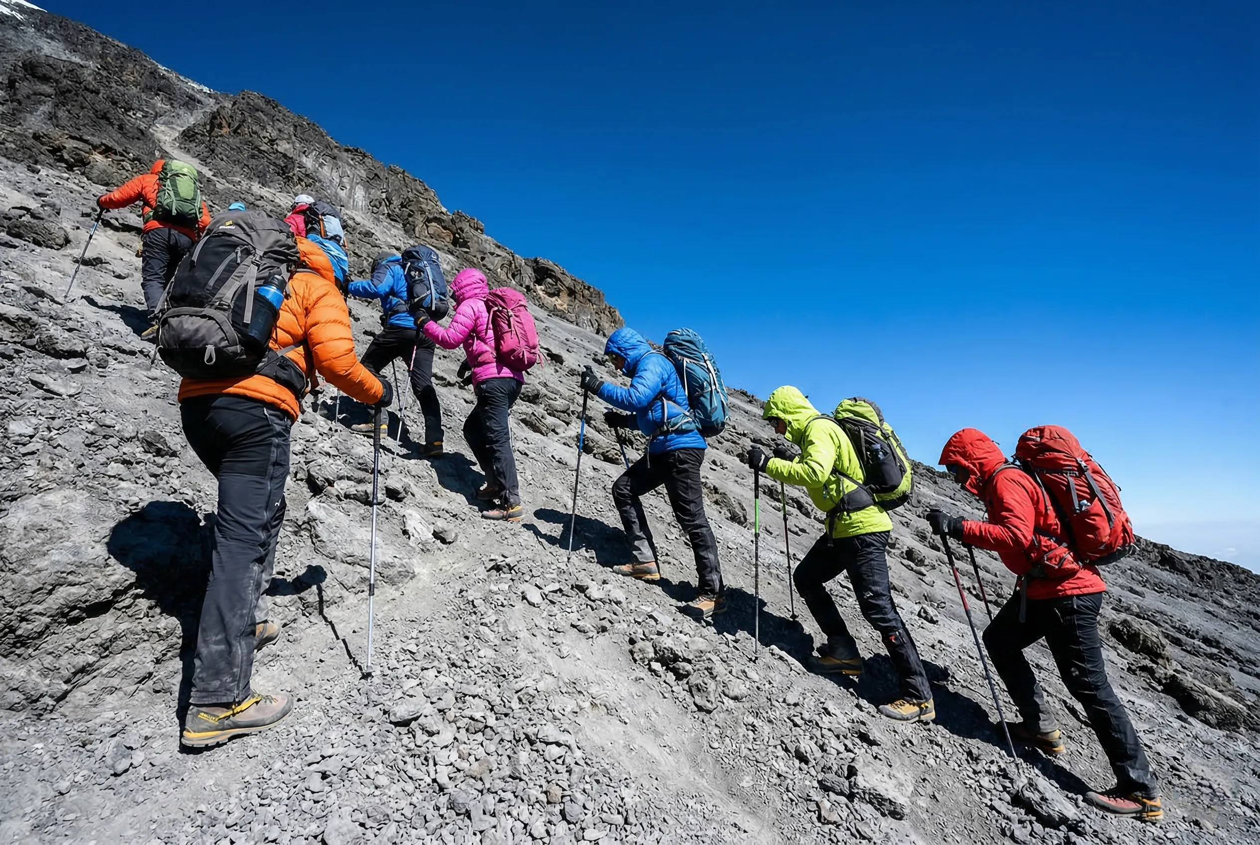 What Is the Best Kilimanjaro Tour Operator in Tanzania? (2026 Honest Guide)